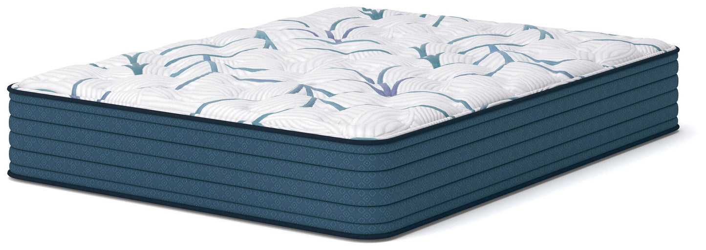 Limited Edition Plush 3.0  Mattress