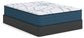 Limited Edition Plush 3.0  Mattress