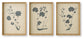 Huddwick Wall Art Set (3/CN)